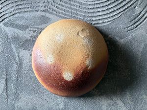 生畑皿山窯【京都】前野直史　スリップウエア 呉須 深鉢 16cm12