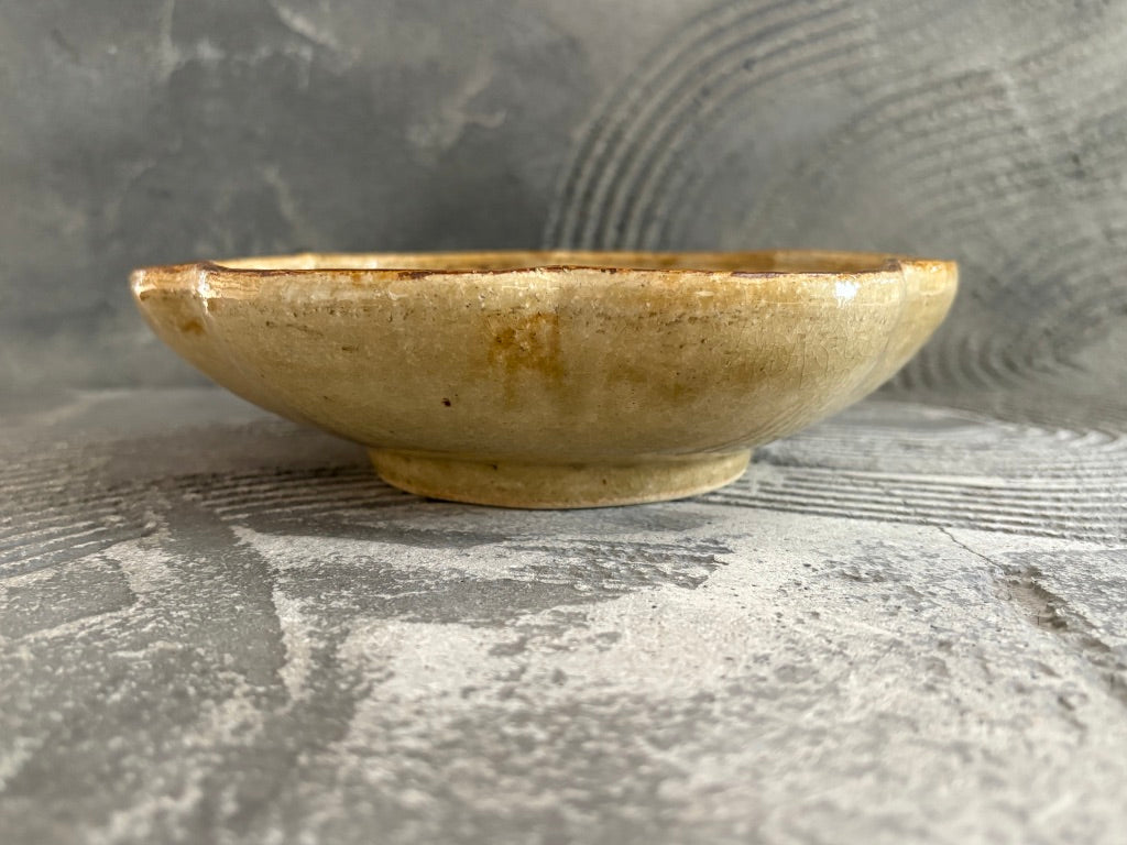 【栃木】岡本芳久　輪花鉢19