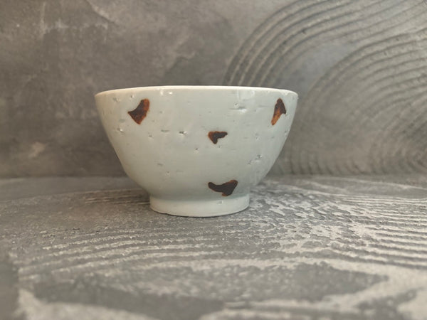 UNADJUSTEDNONRAW_thumb_f763_gr