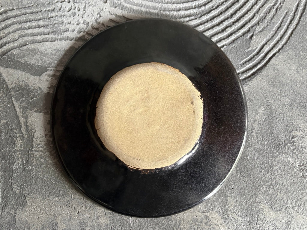 【栃木】今井　律湖　ワイドリムプレート皿9